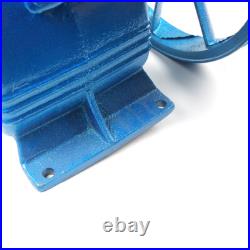 21CFM 5HP 175 PSI Air Compressor Pump Motor Head Double Stage V-Style 2-Cylinder