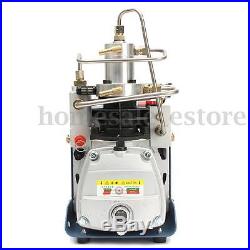 220V 30MPa 4500PSI Air Compressor Pump PCP Electric High Pressure Auto Shutdown