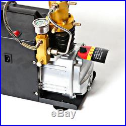 30MPA 4500PSI Air Compressor Pump PCP Electric High Pressure 300BAR 4500PSI DHL