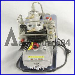 30MPa Air Compressor Pump 110V PCP Electric 4500PSI High Pressure YONG HENG