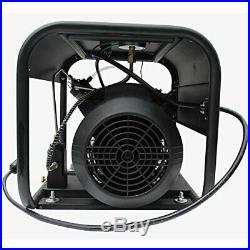 30MPa Air Compressor Pump 110V PCP Electric 4500psi High Pressure Pump US