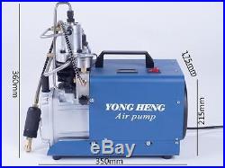 30Mpa High Pressure Electric Compressor Pump PCP Electric Air Pump 220V