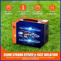 4500PSI High Pressure Pump 30MPA 12V/110V PCP Air Compressor for Rifle Airgun