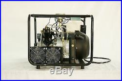 PCP 110V 300BAR 30MPA 4500PSI High Pressure Air Pump Electric Air Compressor