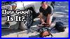 Vevor 10 6 Cfm Air Compressor The Ultimate Tire Inflator For Off Road Enthusiasts