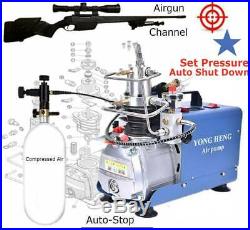 YONG HENG Auto-Stop 30MPa Air Compressor Pump PCP Electric 4500PSI High Pressure
